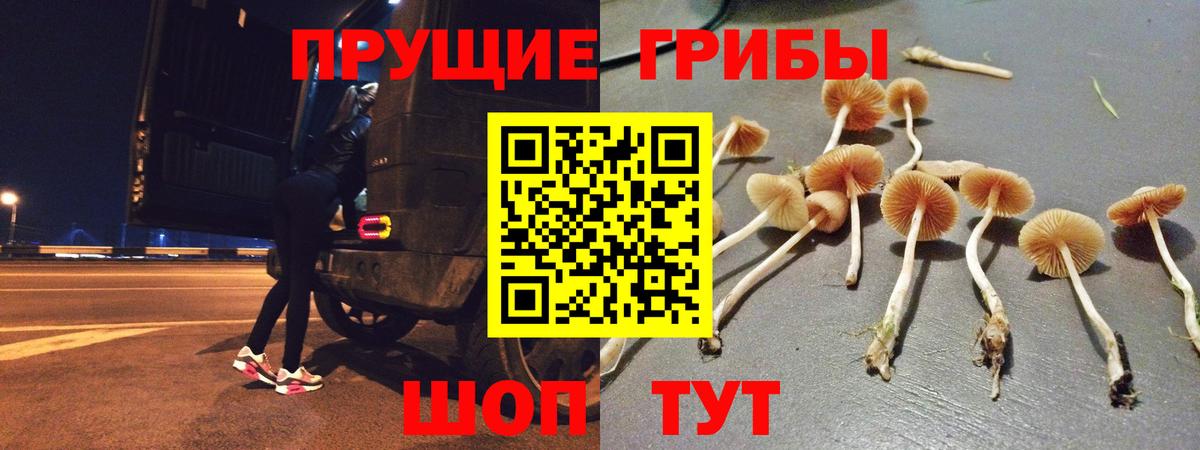 где можно купить наркотик  Галлюциногенные грибы Psilocybine cubensis  Вход с VPN  Сунжа 